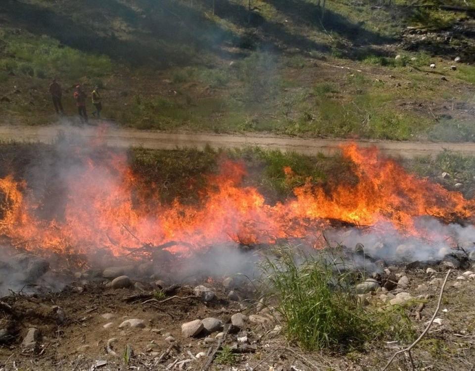 arkbränder har det funnits flera av på Rosala-Hitislandet.