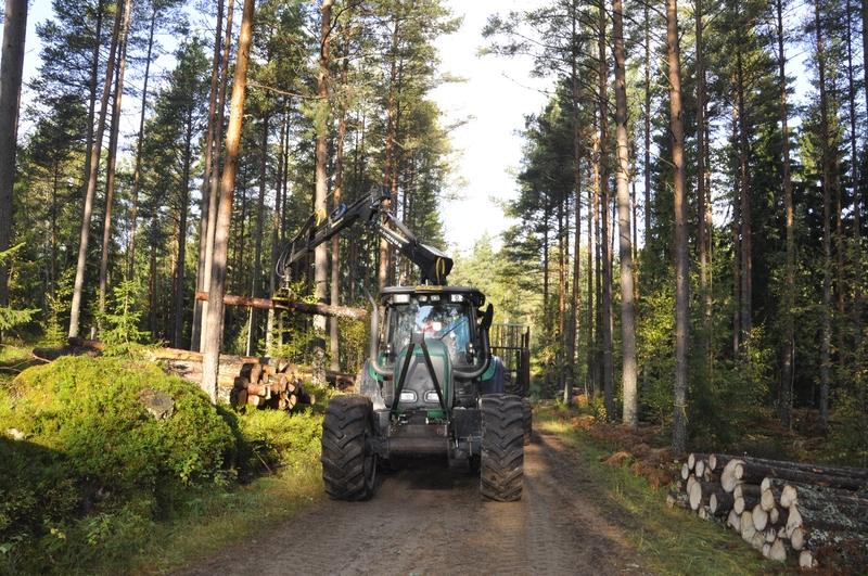 Ekocertifikat kan ge skogsägarna högre pris.