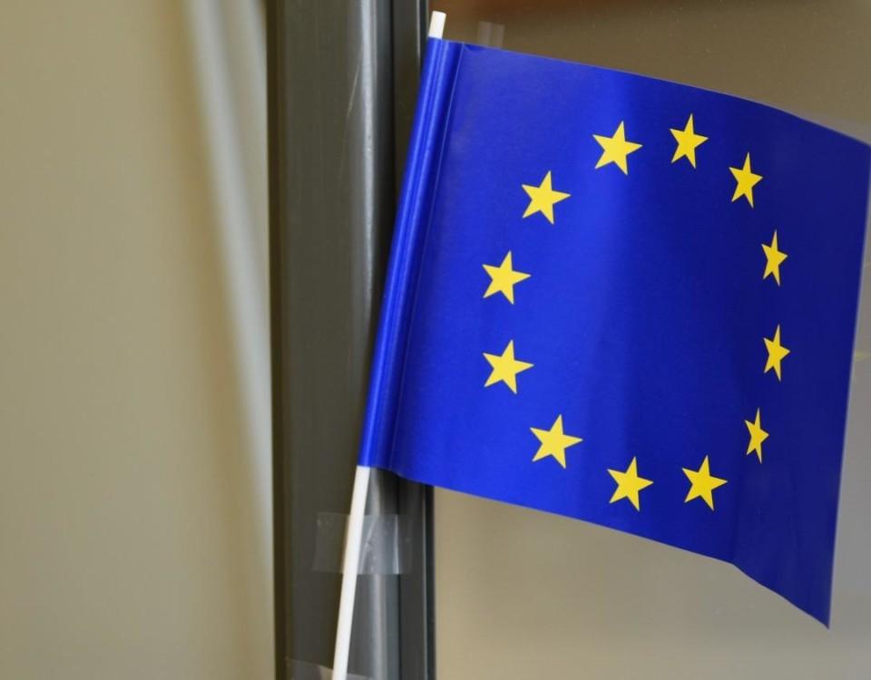 EU:s flagga i miniatyr.