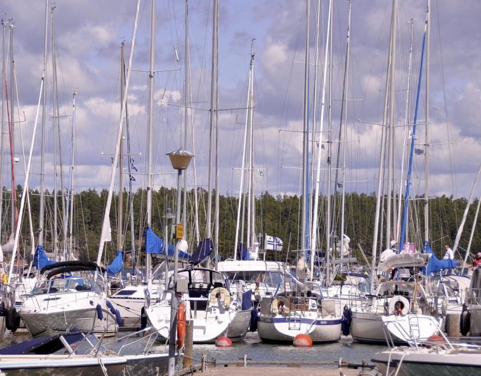 hamn fylld av segelbåtar