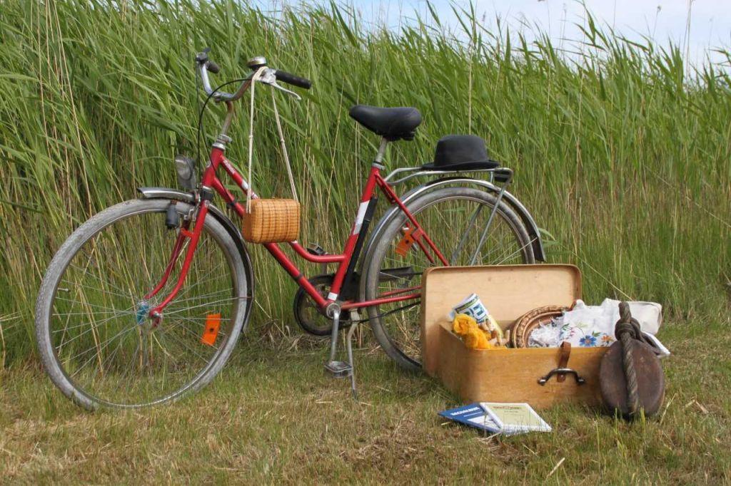 En cykel och några lådor med gamla grejer står på en gräsmatta.