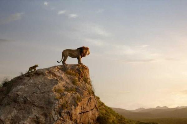 Ett datoranimerat lejon står på en klippa och ser mot solnedgången