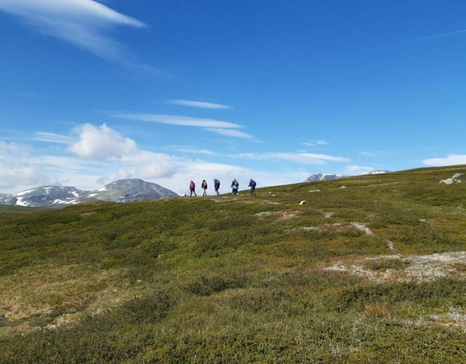 Fem personer vandrar längs ett kalt fjäll under en blå himmel.