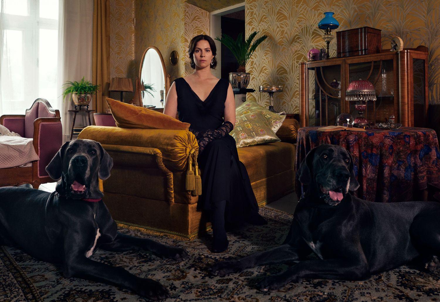 Kvinna i soffa men två stora hundar framför sig