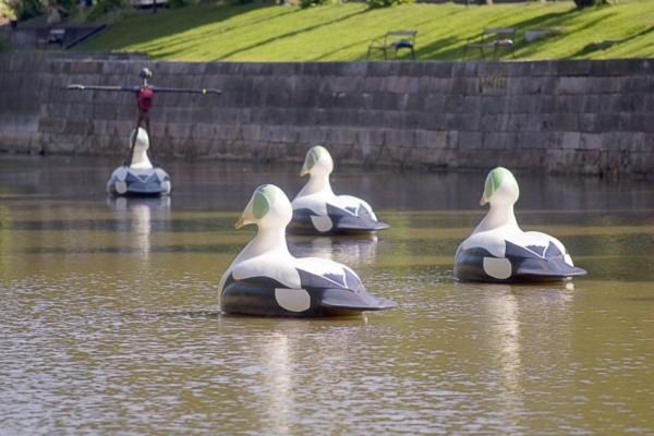 Stora fågelskulpturer i vattnet