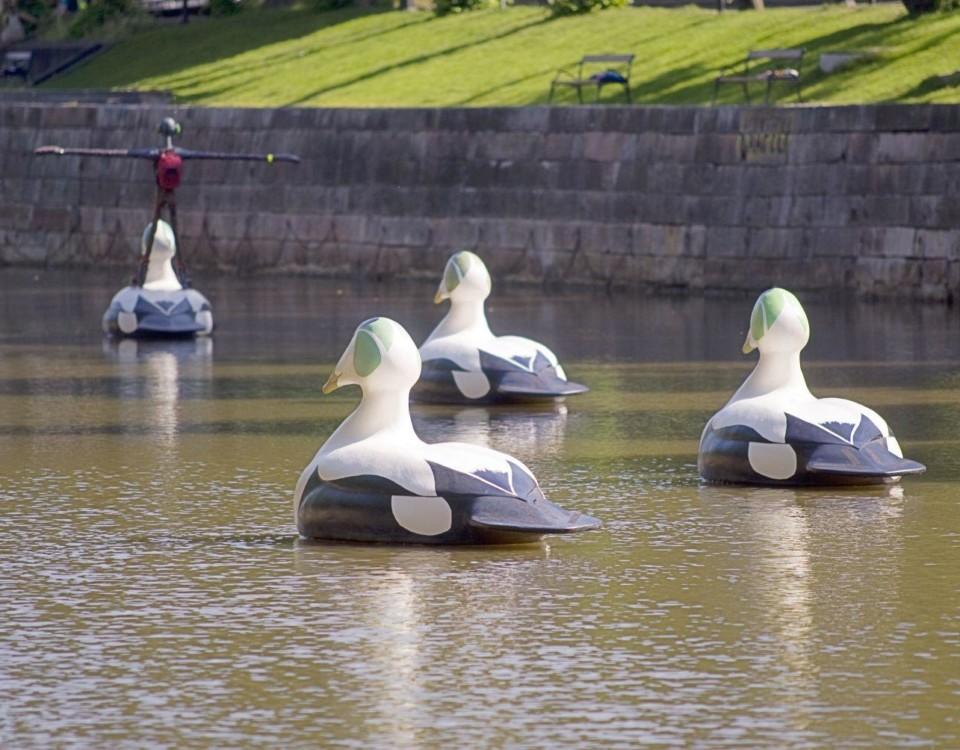 Stora fågelskulpturer i vattnet