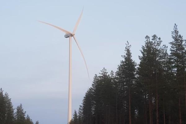 Ett vindkraftverk i en skog.
