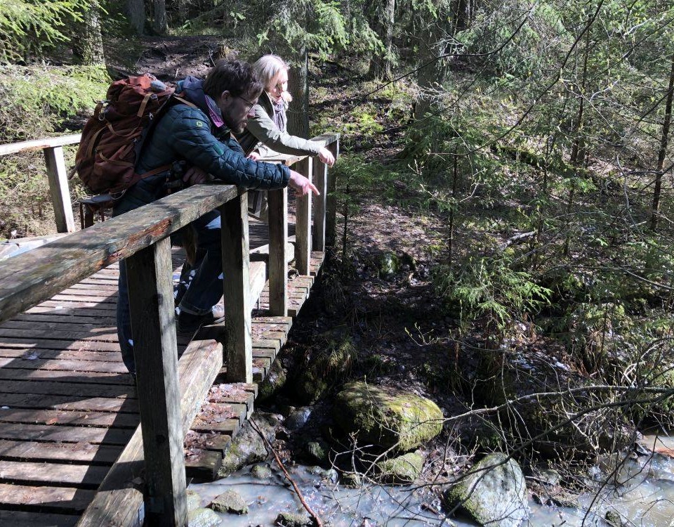 Två personer står på en bro i skogen.