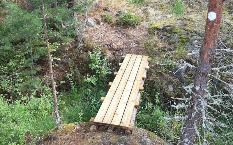 En nybyggd bro över ett litet dike i en skog.