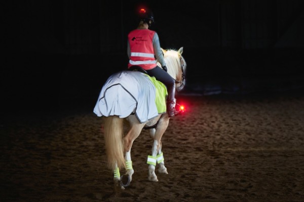 Häst och ryttare försedda med reflex och lampa