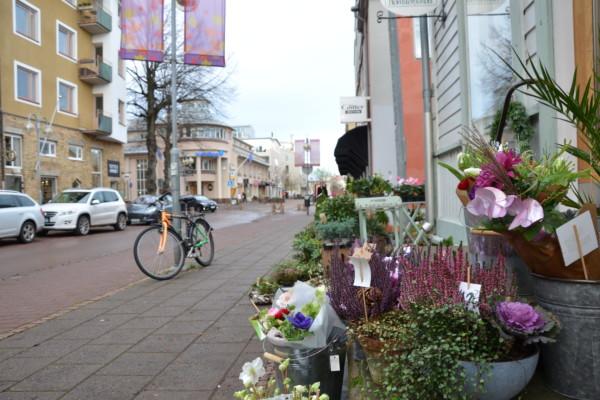 En gata med blommor i förgrunden