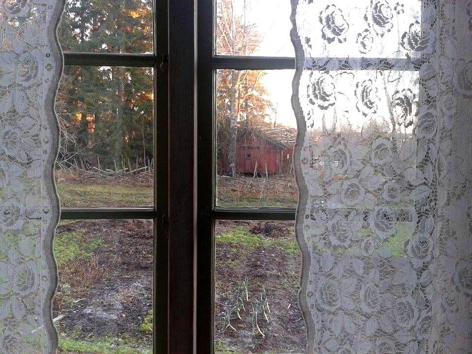 Fönster, fotat inifrån ut mot en gård