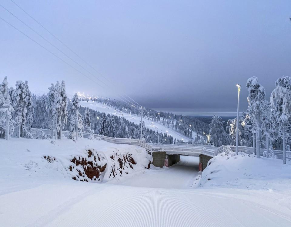 en slalombacke och ett snöigt landskap