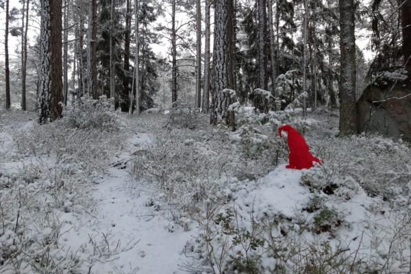 Röd tomteluva i en snöig skog
