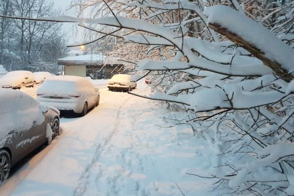Gatubild efter snöfall, med nedsnöade bilar och träd.