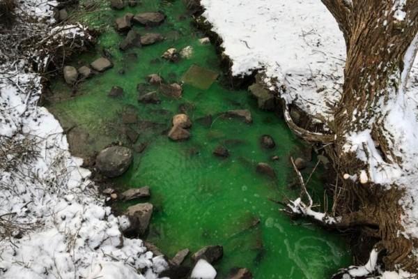 Giftgrönt vatten rinner i ett dike. Runtomkring ligger snö.