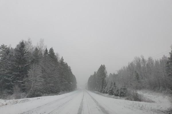 landsväg med snö och skog runtomkring,