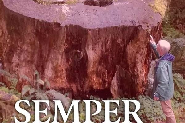 Omslaget på Nalle Valtialas bok "Semper betyder evighet". På bilden står han själv och tittar upp mot en enorm stubbe som är betydligt större än han själv.