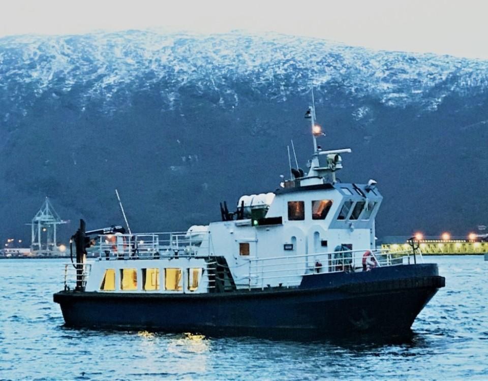 ett svartvitt fartyg i en fjord