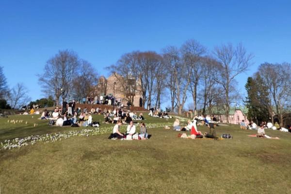 Människor sitter i solstekt park