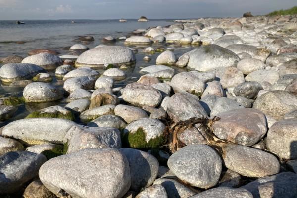 En strand med stenar.