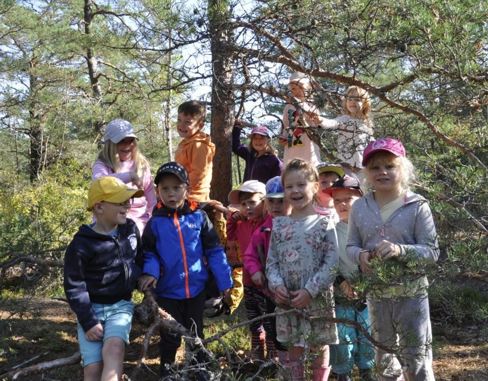 En grupp barn kring en tall i en skog