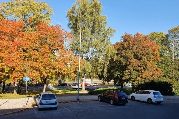 lummiga träd och parkeringsplats i Åbo