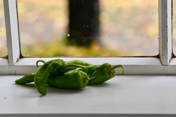 gröna chili på ett bord