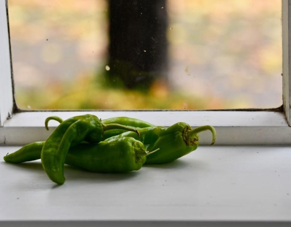 gröna chili på ett bord