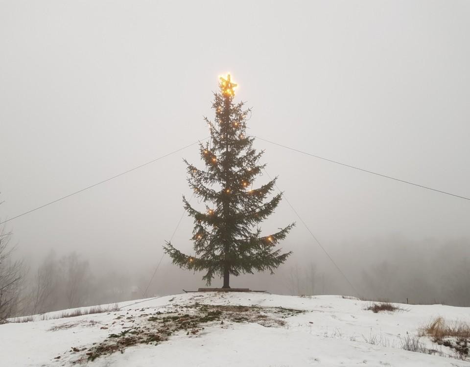 En julgran uppe på ett berg