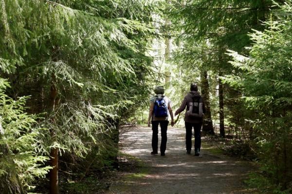 Två människor vandrar i tät skog