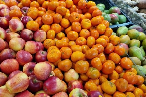 fruktdisk med äppel, mandariner, päron