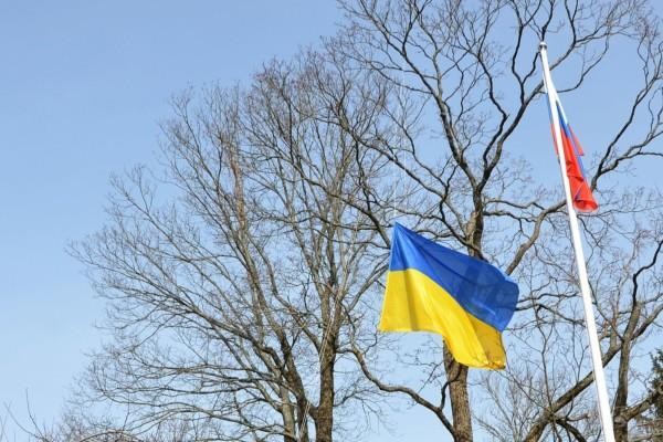 Ukrainas flagga vajar i ett träd.