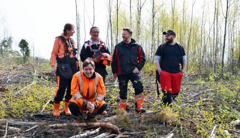 fem personer i skogsröjningsutrustning