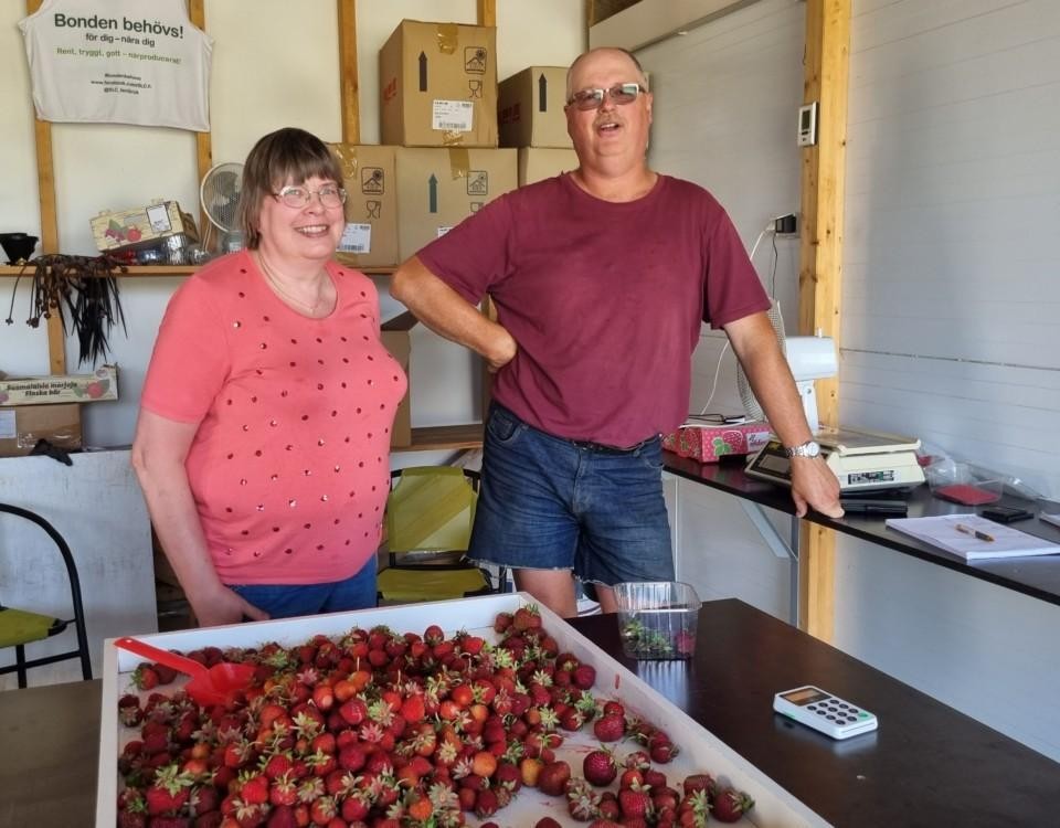 två personer vid en stor låda jordgubbar.