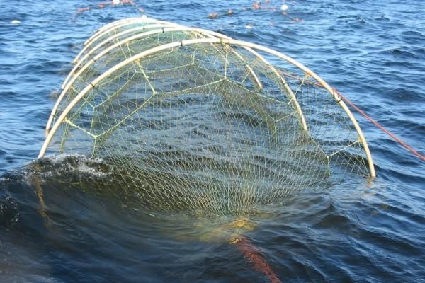 fiskeredskap