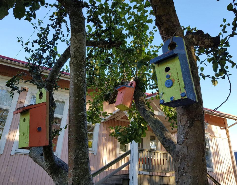 fler fågelhokar i ett träd vid en dagisbyggnad