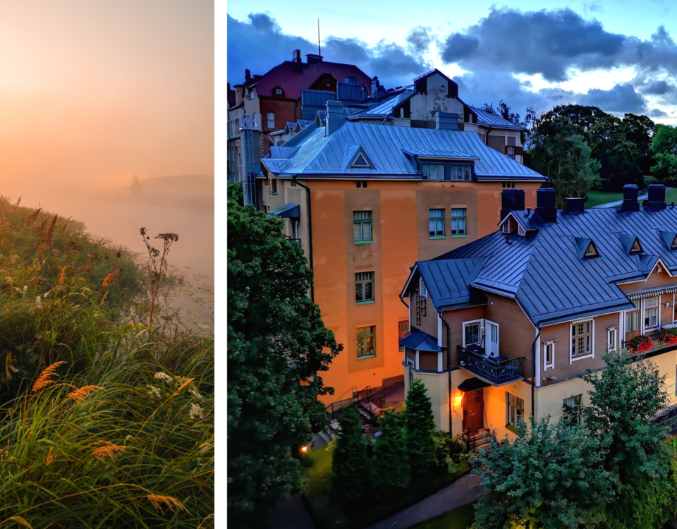 Två sommarbilder. Till vänster en frodig äng i soluppgång, till höger en vy av bostadshus i olika färger.