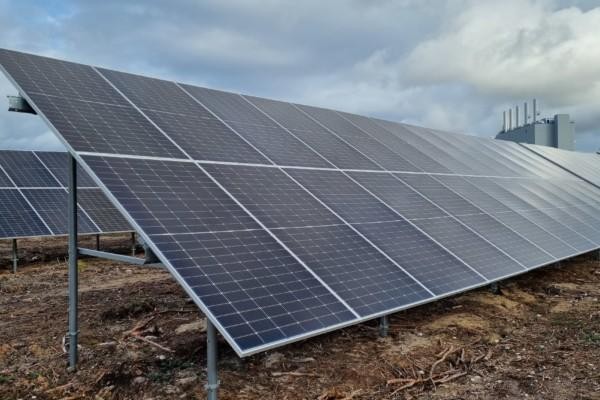 Läkemedelsfabriken Fermion har byggt ett eget solkraftverk i Hangö. Det området som staden låter reserveras för solkraft ligger alldeles intill.
