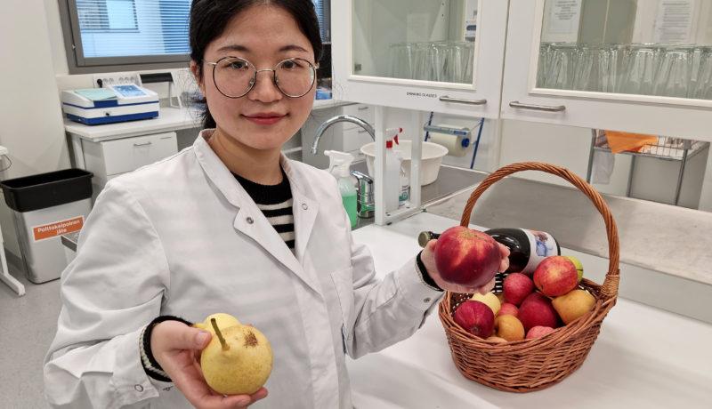 Kvinna i laboratorium med en korg äpplen.