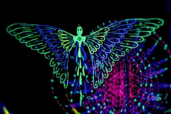 ett ljuskonstverk föreställande en fjäril