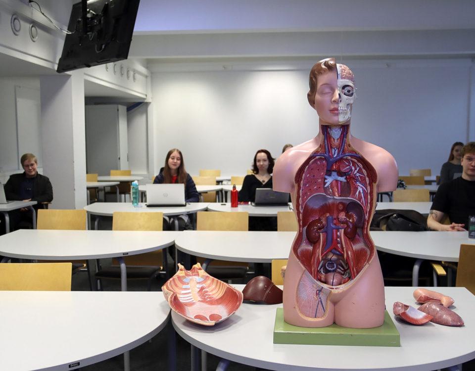 Studerande med en docka som visar människans inre organ framför sig.