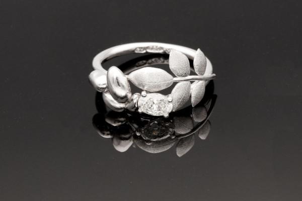 En svartvit bild på en ring.