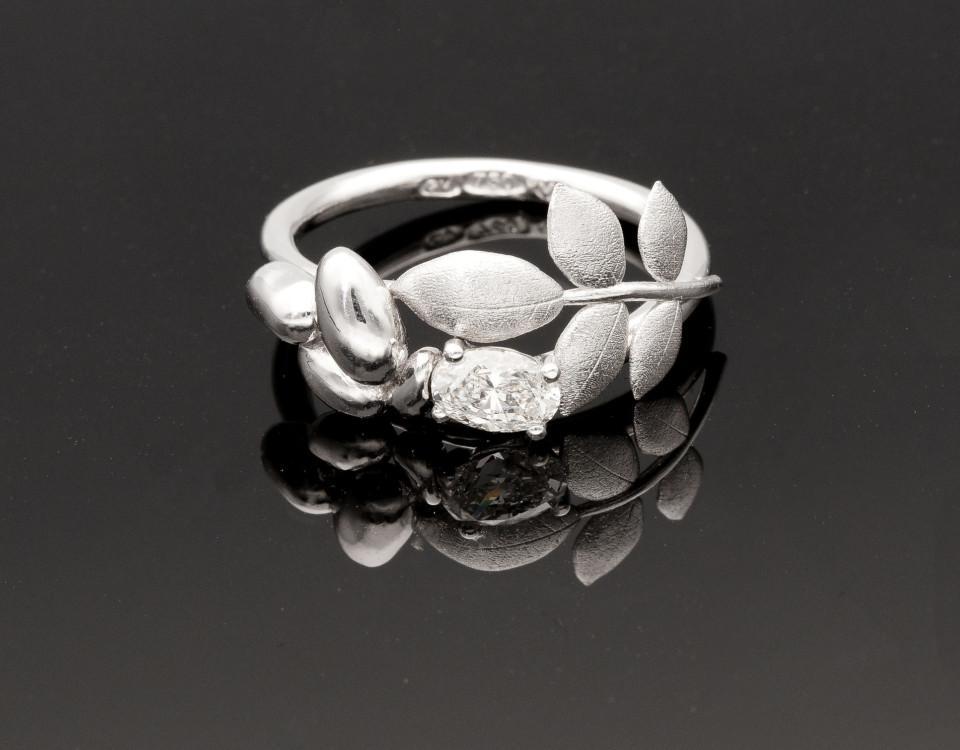 En svartvit bild på en ring.