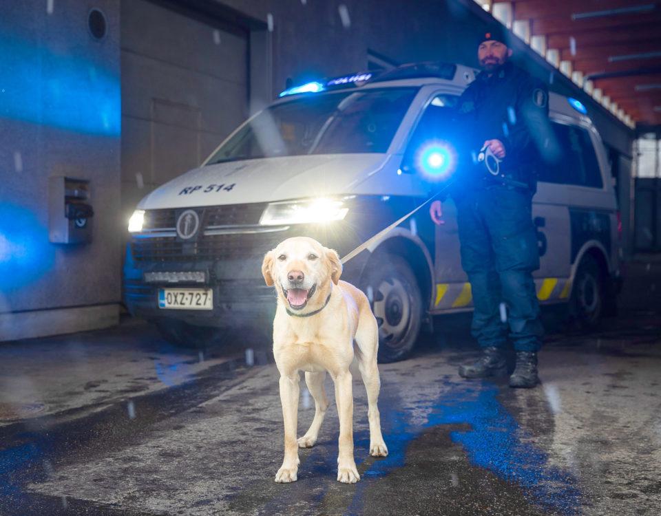Hund framför polisbil.