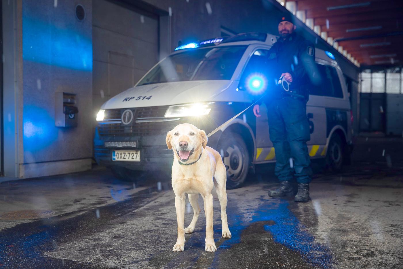 Hund framför polisbil.
