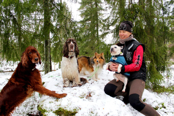 Fyra hundar och en kvinna i vintrigt skogslandskap