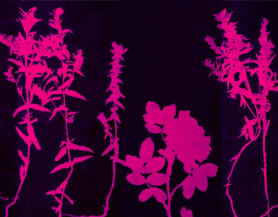 installation med rosa växter på svart bakgrund
