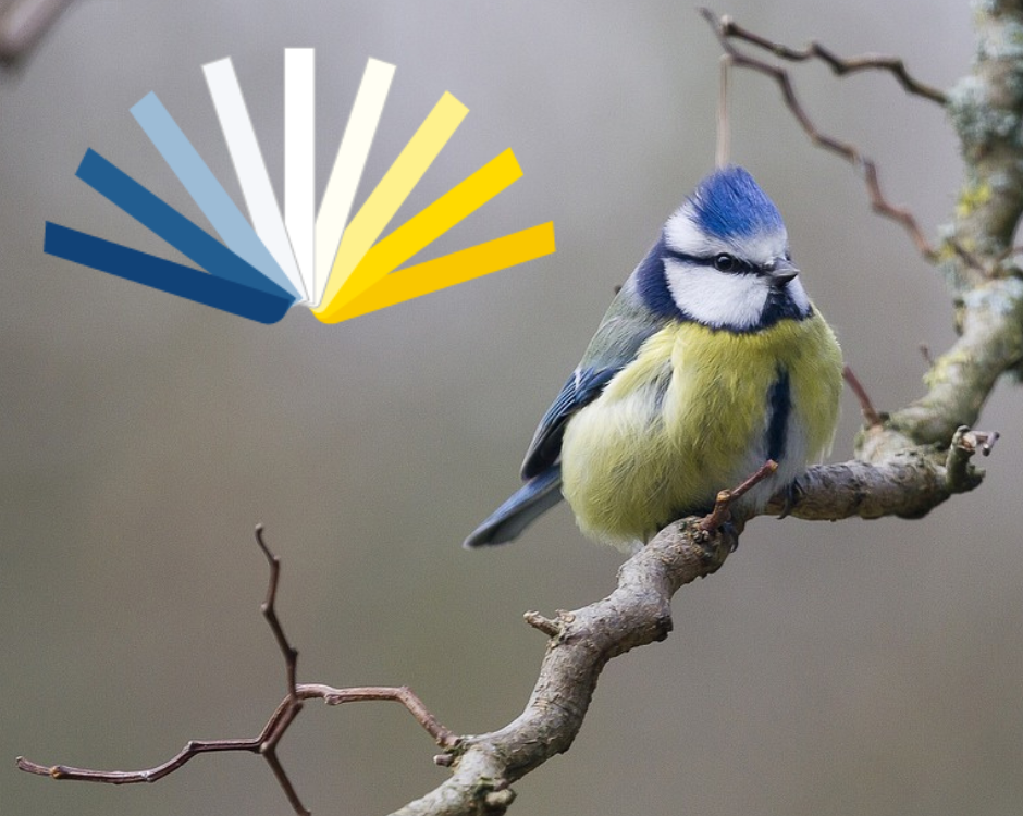 Blåmes sitter på en gren, på vänster sida en logotyp i form av en solfjäder i blått, vitt och gult.