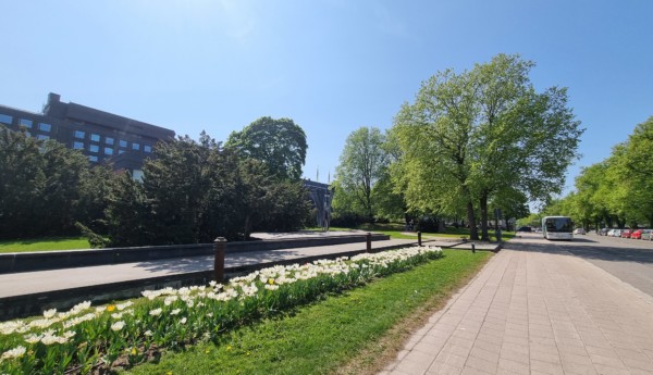 grön park i stad i försommarsol med trottoar till höger